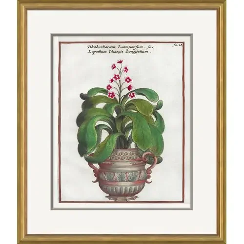 17th Century Florilegium