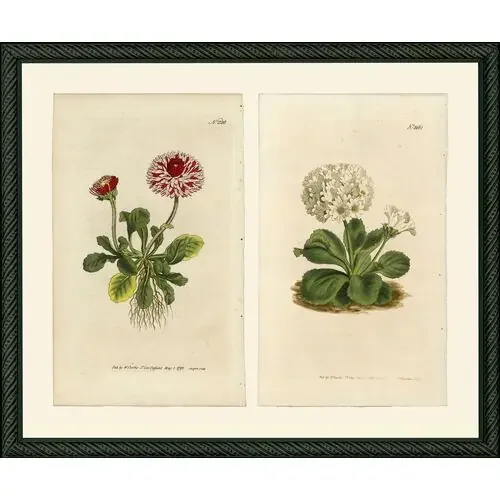 2 Red 228 & White 1161, c 1800 Art Print, 12″ x 15″