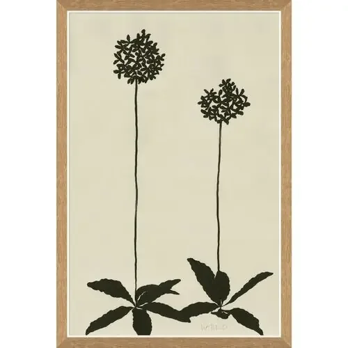 Susan Hable, Allium